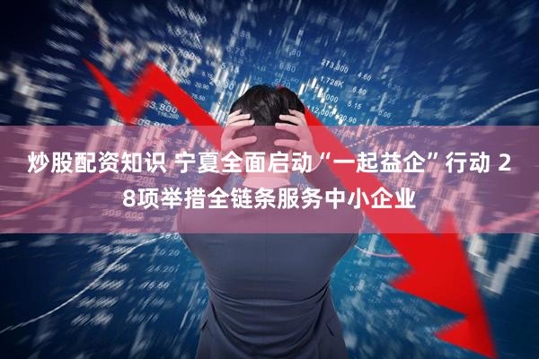 炒股配资知识 宁夏全面启动“一起益企”行动 28项举措全链条服务中小企业