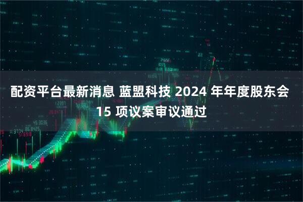 配资平台最新消息 蓝盟科技 2024 年年度股东会 15 项议案审议通过