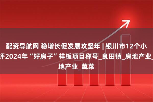 配资导航网 稳增长促发展攻坚年 | 银川市12个小区获评2024年“好房子”样板项目称号_良田镇_房地产业_蔬菜