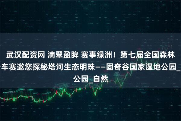 武汉配资网 滴翠盈眸 赛事绿洲！第七届全国森林自行车赛邀您探秘塔河生态明珠——固奇谷国家湿地公园_自然