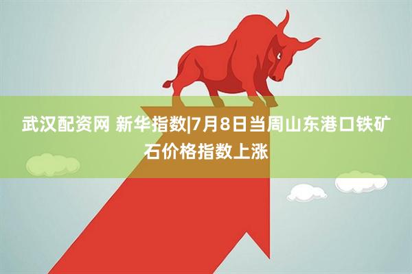 武汉配资网 新华指数|7月8日当周山东港口铁矿石价格指数上涨
