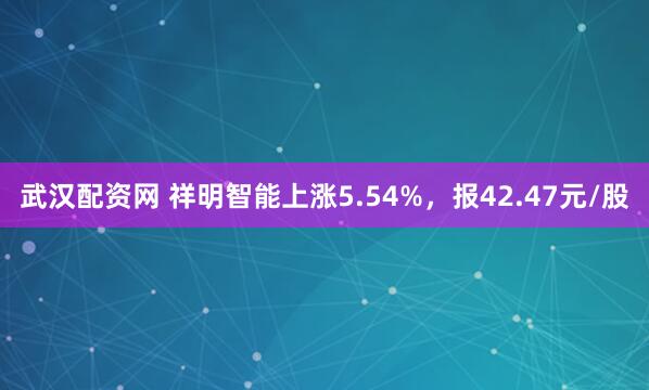 武汉配资网 祥明智能上涨5.54%，报42.47元/股